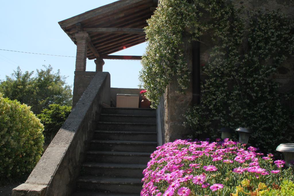Casale Aurora Villa Viterbo Værelse billede